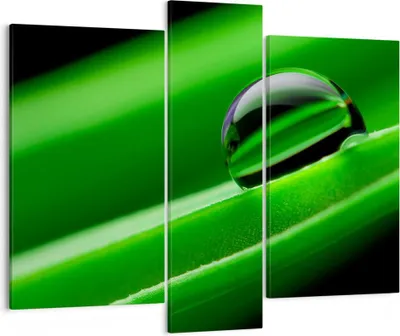 Produktbild von Bild auf Leinwand - Leinwandbild - Pflanze Tropfen Wasser Blase - 95x80cm - Wand Bild - Wanddeko - Leinwanddruck - Bilder - Kunstdruck - Wanddekoration - Leinwand bilder - Wandkunst - CB95x80-2352