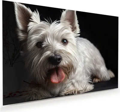 Produktbild von Glasbild 45x30cm in XXL für Wohnzimmer, Schlafzimmer Motiv Weisser Hund