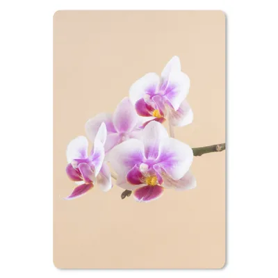 Produktbild von MuchoWow® Mauspad Mousepad Weiße und rosa Orchidee 18x27 cm - Mousepads - Maus Mat - Pad - Mausunterlage