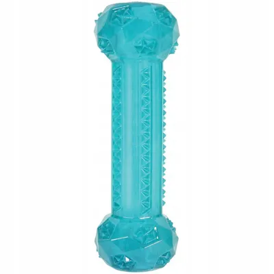 Image de Zolux Toy TPR POP Stick 15cm turquoise [479078TUR]