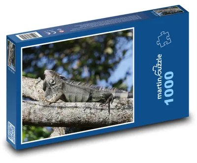 Obrázek produktu pro Puzzle 1000 Ještěrka na stromě - martinpuzzle