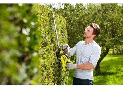 Immagine prodotto di RYOBI - 18V ONE+ Hedge Trimmer - 45cm Blades - 18mm Blade Spacing - 1 x 18V 2.0Ah Lithium+ Battery and 1 x 1.5A Charger - RHT184520
