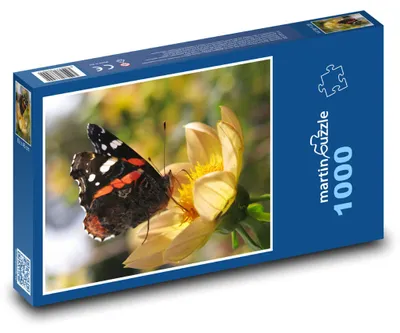 Obrázek produktu pro Puzzle 1000 Admirál na květině - martinpuzzle