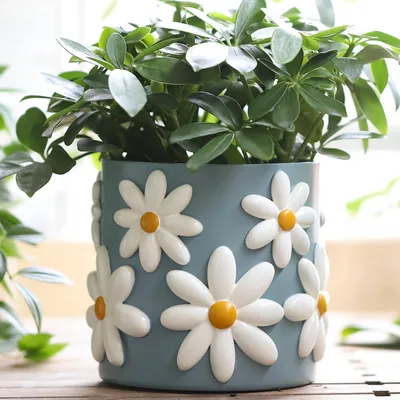 Produktbild von Daisy Blumentopf - Bunte dekorative Pflanzenpot