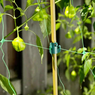 Imagen del producto de Soportes y clips multiusos Windhager, paquete de 9 unidades