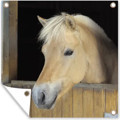 Produktbild von MuchoWow® 100x100 cm Outdoor-Poster Gartendeko Sichtschutz Garten Poster für den Garten  Fjordpferd in einem Holzstall