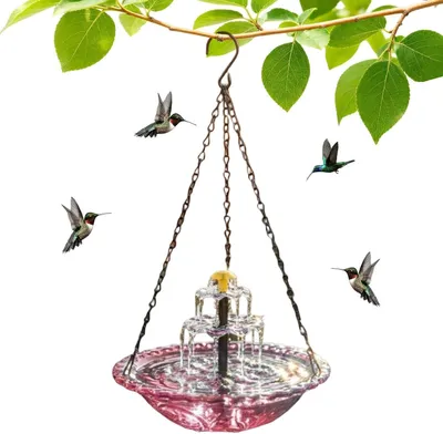 Produktbild von Solarbetriebene Vogeltränke als Gartendekoration – Vogelbad mit Springbrunnen für Kolibris, Gärtner, Hausbesitzer, Terrassen, Hinterhöfe, Vogelbeobachter, Vorgärten und Balkone