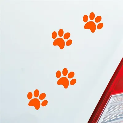 Produktbild von Auto Aufkleber Pfoten Paws Dog Hund Haustier Tier Pfote Paw 8x10 cm Orange Sticker Heckscheibenaufkleber