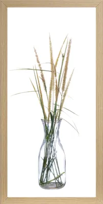Produktbild von Wandbild - Braun - Weiß - Grün - 23 x 49 cm - Gräser in Vase
