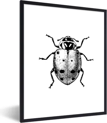 Produktbild von MuchoWow® Gerahmtes Poster Vintage - Marienkäfer - Insekten - Schwarz und weiß 60x80 cm - Poster mit Schwarzem Bilderrahmen Wandposter Rahmen Foto Bilder - Premium - Wanddeko Wohnzimmer
