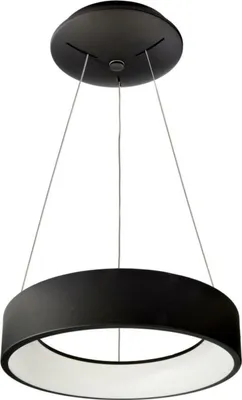 Immagine prodotto di Light Impressions Deko-Light apparecchio a sospensione Sculptoris 400 mm, 30,0 W, 3000/4000 K, nero 220-240V AC/50-60Hz 30,00 W 3000/4000 K 2000 lm nero scuro RAL 9005 342184