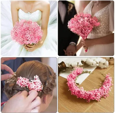 Immagine prodotto di Azomor Rosa: fiori di gipsofila essiccati per decorazioni suggestive e progetti fai da te