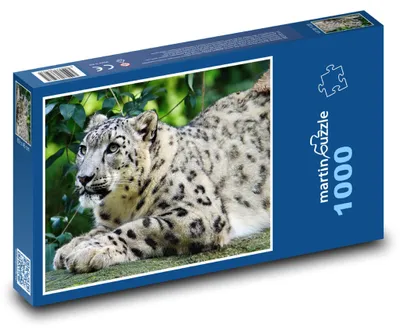 Obrázok produktu pre Puzzle 1000 Snežný leopard v prírode - martinpuzzle