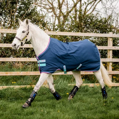 Immagine prodotto di Horseware Amigo Hero 900 Pony Turnout Lite 0g - Blu scuro/Capri con lampone
