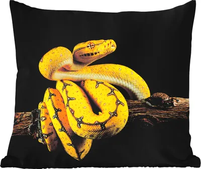 Produktbild von MuchoWow® Outdoor Kissen - Schlange - Zweig - Gelb - 45x45 cm - Wetterfest - Lounge Kissen - Fotokissen - Dekoratives Kissen