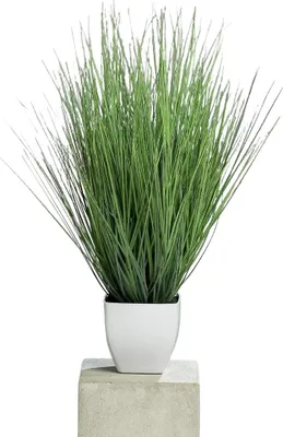 Produktbild von aplanta Künstliches Isolepsisgras - Alma | 60 cm, für drinnen, Kunstpflanze, wie echt, Allergiker geeignet, pflanzliche Dekoration Praxis, Office & Wohnzimmer