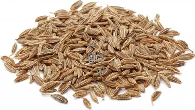 Produktbild von Kümmel ganz  - Ellis Gewürz