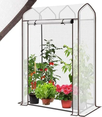 Productafbeelding van Famanu Mini-kas voor tomaten - 150 x 100 x 50 cm, wit