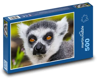 Obrázek produktu pro Puzzle 500 Lemur s výraznýma očima - martinpuzzle