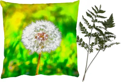 Produktbild von MuchoWow® Zierkissen Sofakissen Wohnzimmer Dekokissen 50x50 cm Löwenzahn - Gras - Blume - Komfort - Sofakissen