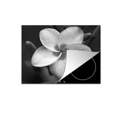 Produktbild von KitchenYeah© Herdabdeckplatte Nahaufnahme einer Plumeria-Blüte - schwarz und weiß , 60x52cm, Küche Deko, Glaskeramikkochfeld Herdabdeckung, Abdeckplatte fùr Kochfeld