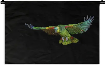 Produktbild von MuchoWow® Wandteppich Wandbehang Papagei - Vogel - Federn 60x40 cm Tapisserie Dekoration Wandtuch - Wanddekorationen