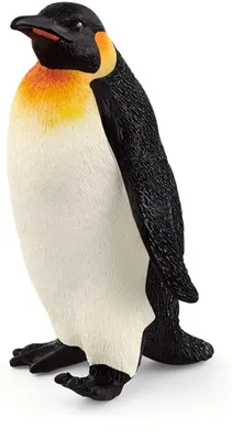 Immagine prodotto di Pinguino