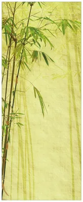 Produktbild von Wallario Premium Glasbild, freischwebende Optik, kräftige Farben, Größe 125 x 50 cm Motiv Antiker Bambus