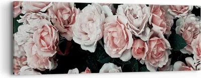Produktbild von Bild auf Leinwand - Leinwandbild - Einteilig - Rosen Blumen Blätter - 90x30cm - Wand Bild - Wanddeko - Wandbilder - Leinwanddruck - Bilder - Wanddekoration - Leinwand bilder - Wandbild - AB90x30-4760