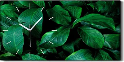 Produktbild von Küche Wohnzimmer Wand Leinwand Uhr 60x30 Gemälde Blumen Blätter Pflanzen Kunst - weiße Hände