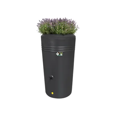 Produktbild von Elho B.for Soft Rund 18 - Blumentopf - Laubgrün - Innen - Ø 18.3 x H 16.7 cm