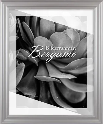 Produktbild von Bilderrahmen Bergamo - 60x110 cm, Mattsilber Nachbildung, 1,5 mm Kunstglas entspiegelt