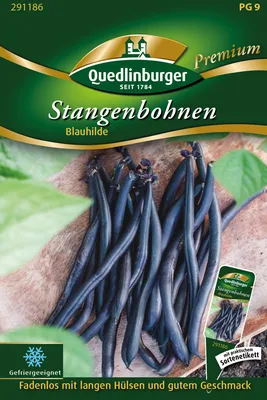 Artikelbild 2 von 'Stangenbohne Blauhilde' aus der Kategorie Stangenbohnensamen
