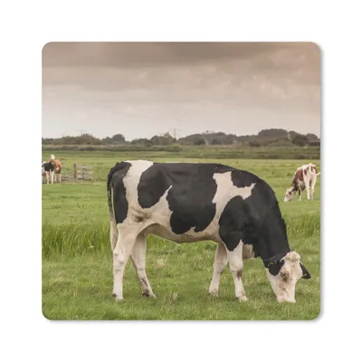 Produktbild von MuchoWow® Mauspad Mousepad Kühe - Mühle - Niederlande 20x20 cm - Mousepads - Maus Mat - Pad - Mausunterlage - Desk Mat - Bureauartikeln