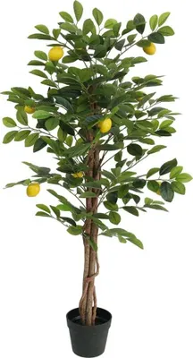 Obrázek produktu pro Umělý citronovník se 3 kmínky zelený 120 cm PP