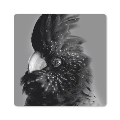 Produktbild von MuchoWow® Mauspad Mousepad Nahaufnahme eines Kakadus vor grünem Hintergrund - schwarz und weiß 30x30 cm - Mousepads - Maus Mat - Pad - Mausunterlage - Gaming