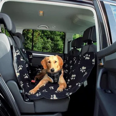 Produktbild von Autoschondecke Fleece Nylon für Hunde - Schwarz
