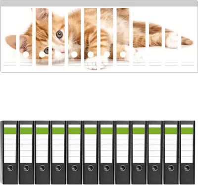 Produktbild von Wallario 12 Stück breite Ordner inkl. Klebeetiketten mit Motive Süße Katze mit großen Augen - rot weiß getigert -  Set mit Rückenschildern / Ordnerrücken Stickern