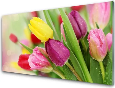 Imagen del producto de Panel de vidrio para la pared de la cocina, 100x50 cm, protector contra salpicaduras, con diseño de tulipanes y plantas