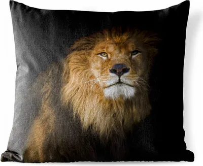 Produktbild von MuchoWow® Outdoor Kissen - Löwe - Tier - Schwarz - 40x40 cm - Wetterfest - Lounge Kissen - Kopfkissen - Interieur - Polster mit Bild