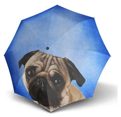 Produktbild von doppler Stockregenschirm Regenschirm Modern.Art Long Automatic Lazy Dog blau