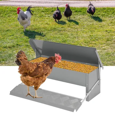Image de Distributeur de nourriture pour poulets Ikodm, capacité de 5 kg, résistant aux intempéries, distributeur automatique pour volailles avec marchepied et accessoires
