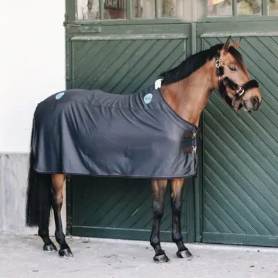 Immagine prodotto di Kentucky Horsewear Tappeto magnetico Recuptex 0g - navy