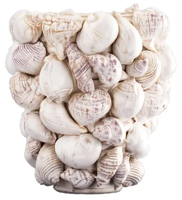 Produktbild von Werner Voß Vase Muscheln Steingut