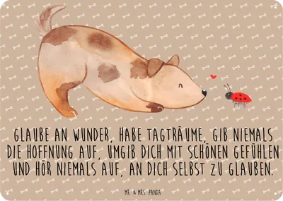 Produktbild von Mr. & Mrs. Panda Wandbild Hund Marienkäfer DIN A6 - Hundeglück - Geschenk, tafel, Mischlingshund, Positiv, Türschild, Mischlinghund, Wandschild Metall, Zuversichtlich