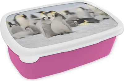 Produktbild von KitchenYeah® Lunchbox Brotzeit Brotdose 17x11 cm Pinguine - Schnee - Tiere Kinder Brotzeitdose - Lunchpaket - Brotkasten - Sandwich Box