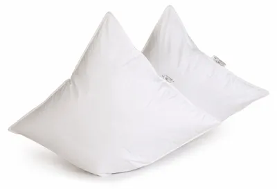 Produktbild von 2 Stück Betten Hofmann Pusta Federkissen Kopfkissen Kissen 80x80 15% Daunen 1000 g