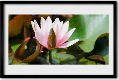 Produktbild von Bild 60x40 MDF-Rahmen Wandkunst Natur Blume Pflanze