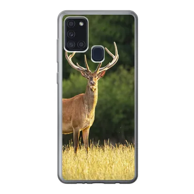 Produktbild von MuchoWow® Handyhülle Schutzhülle Hülle für Samsung Galaxy A21s Hirsch - Geweih - Gras - Natur - Tiere - Grün Silikon Softcase Handy Hülle - Hartschale