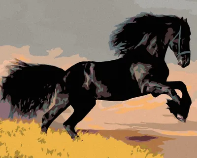 Produktbild von Diamondi - Diamond painting - SCHWARZES PFERD, 40X50 cm, mit Keilrahmen (bereits gespannt)